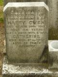 image of grave number 35918